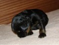 /album/farrah-stenouch/farah-2-5-jpg/